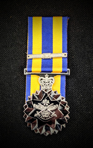 Defence Force Service Medal