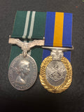 Air Efficiency Award & Reserve forces Efficiency Award