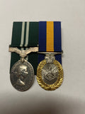 Air Efficiency Award & Reserve forces Efficiency Award