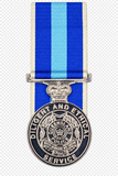 Full-size medal preview